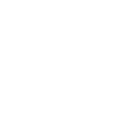 European Union Social Fund
